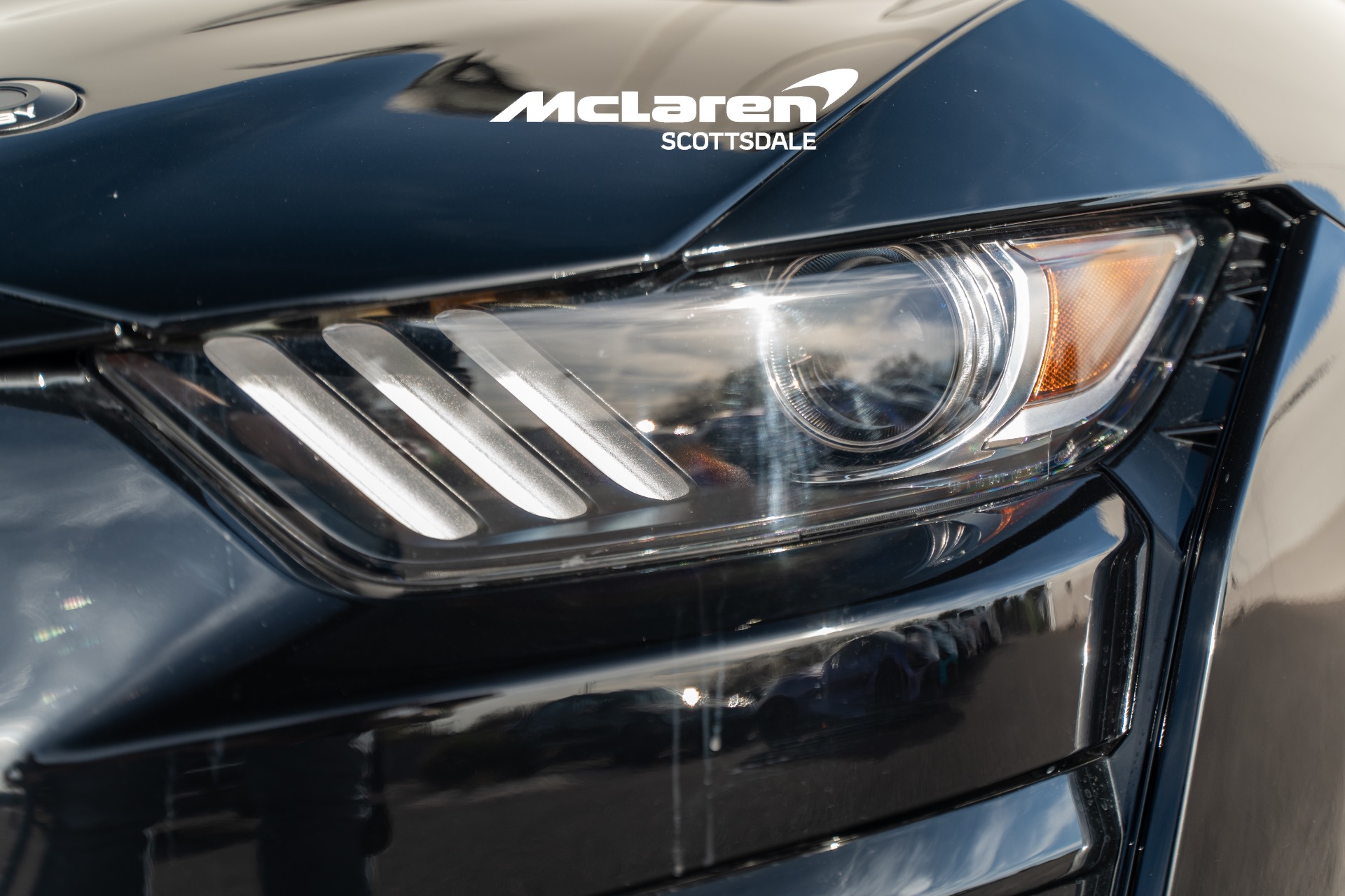 2022 Ford Mustang Shelby GT500 - Photo 14